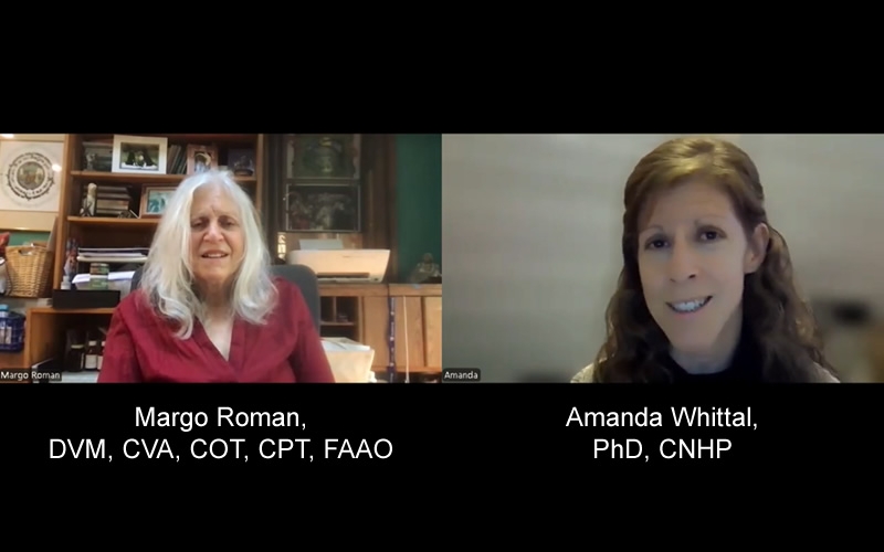 Screenshot from video with Margo Roman and Amanda Whittal.