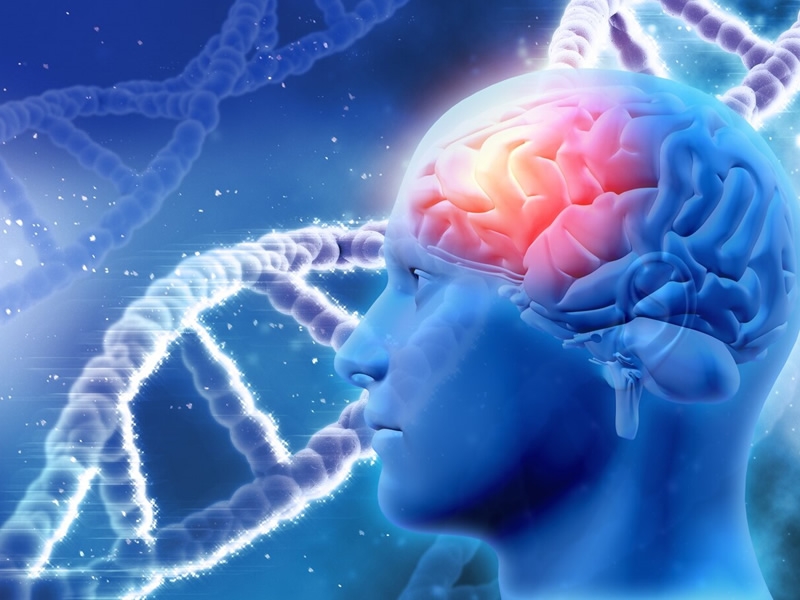 Illustration of human head with brain lit up and strands of DNA in background.