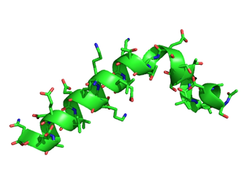 Can Therapeutic Peptides Revolutionize The Future Of Precision Medicine ...