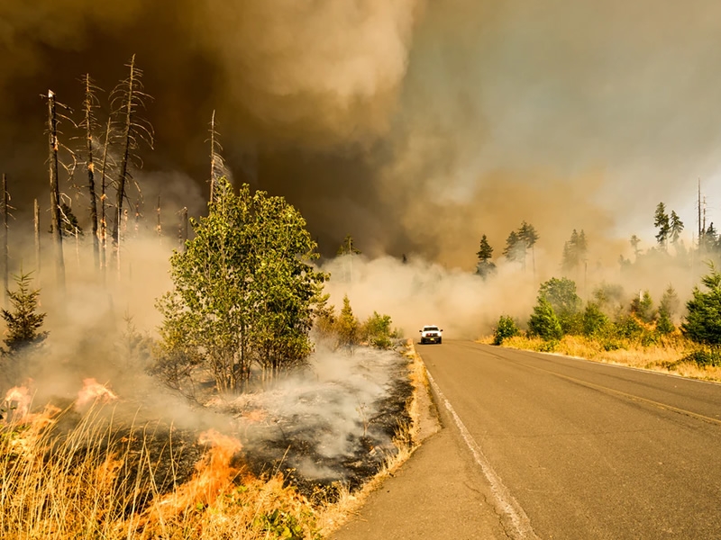 Does Exposure To Wildfire Smoke Affect Your Health? | Foundation For ...