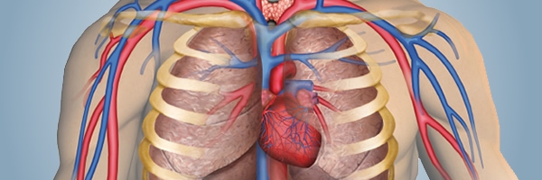 Using a Pneumatic Compression Device for Lower and Upper Extremity