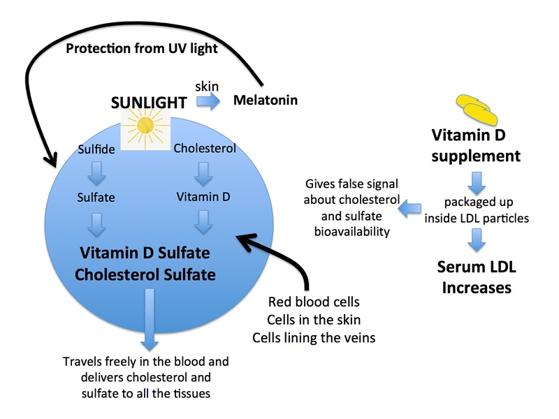 Sunlight and Vitamin D: They're Not the Same Thing!  Foundation for 