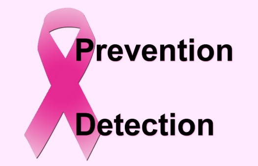 The Prevention Of Breast Cancer