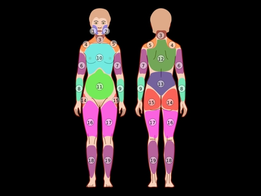 illustration of human figures, front and back, showing locations of 19 pain areas