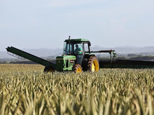 Tractor harvesting grain in a large farm field.