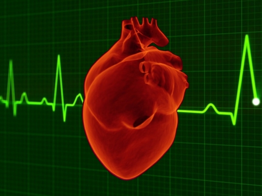 human heart with heart pulse graphic background