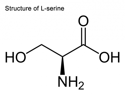 L-Serine-structure.jpg | Foundation For Alternative And Integrative ...