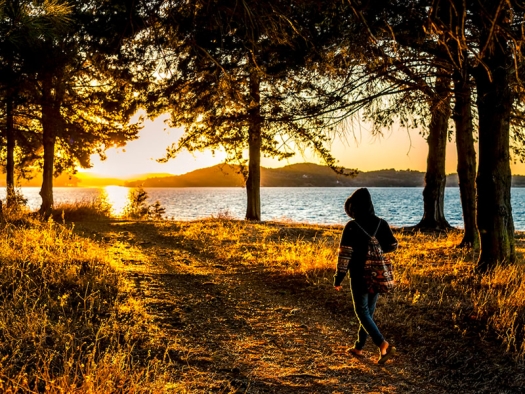 A person walks along a path with grass and trees, near water with mountains in the background, all bathed in golden sunlight