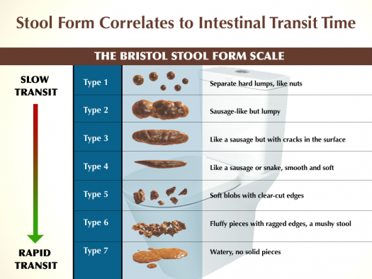 illustrations of stool form, explained in caption